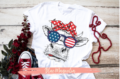 America Cow